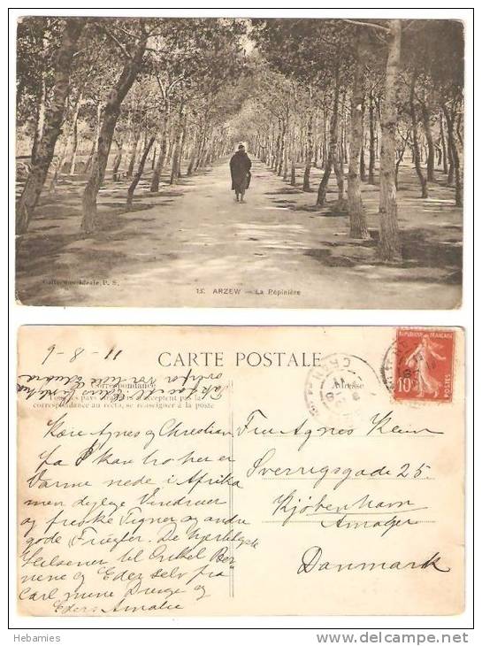 ALGERIA - ARZEW - La Pépiniére - posted to Denmark 1911 -