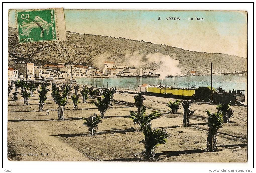ARZEW - La Baie & Palmeraie - Train - Locomotive à vapeur - Photo colorisée - Ecrite & timbrée en 1911