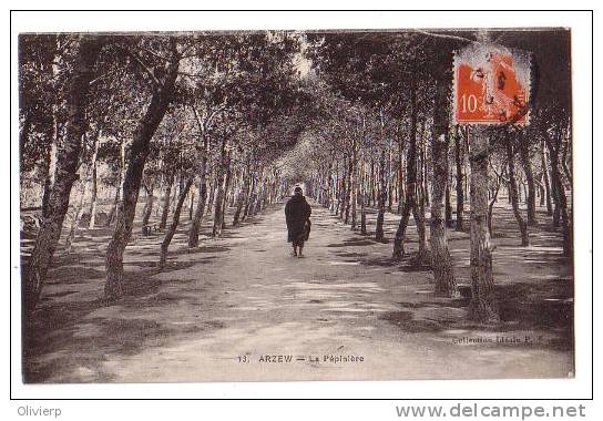 004  Arzew - La Pépinière