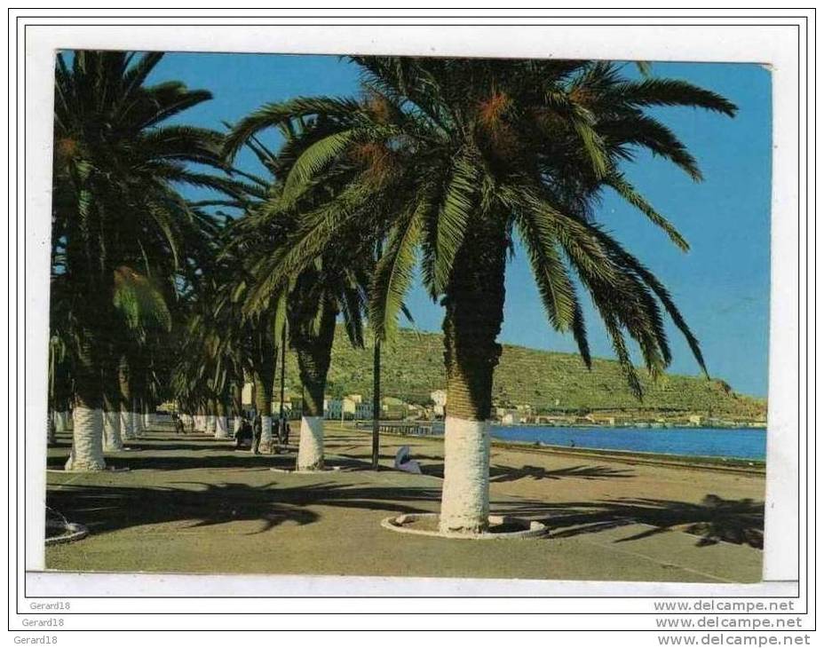 (algérie) ARZEW - Boulevard Emir Abdelkader.