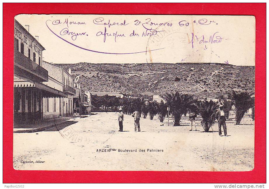 E-Algerie-233P143  ARZEW, boulevard des palmiers, cpa