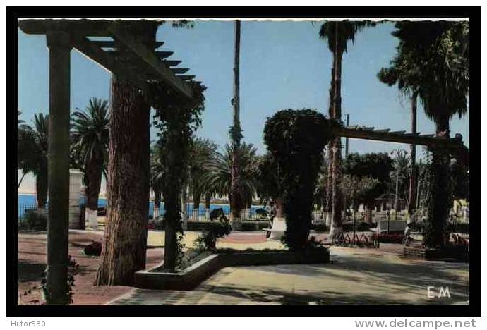 ARZEW - ALGERIE - LE JARDIN PUBLIC - (CPSM)