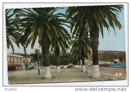 ALGERIA - AK 146284 Arzew - Le Palmerie du Port