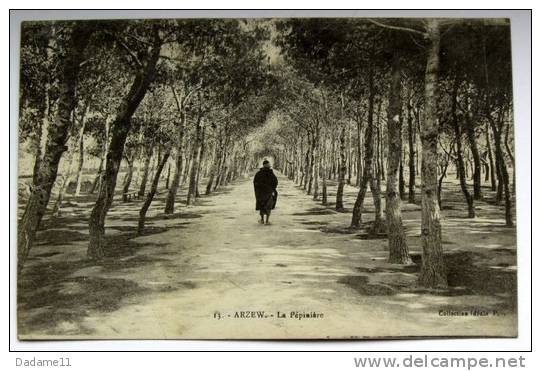 Arzew la pépinière