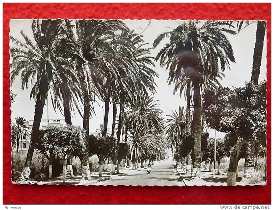 ARZEW LA ROUTE D ORAN  Edit COMBI CACHET MILITAIRE F.M 1957