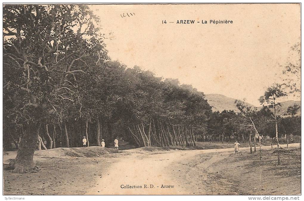 (ALGERIE) ARZEW. La pépinière