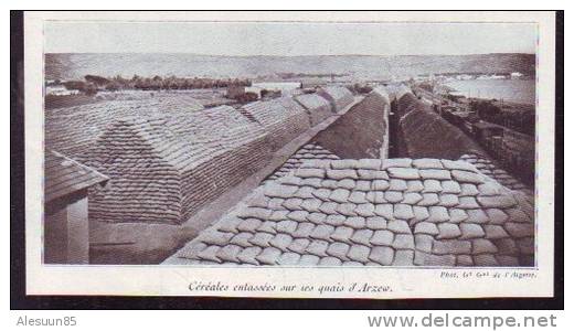 Q.246  /    1930  --  ALGERIE  --  CEREALES ENTASSEES SUR LES QUAIS D ARZEW