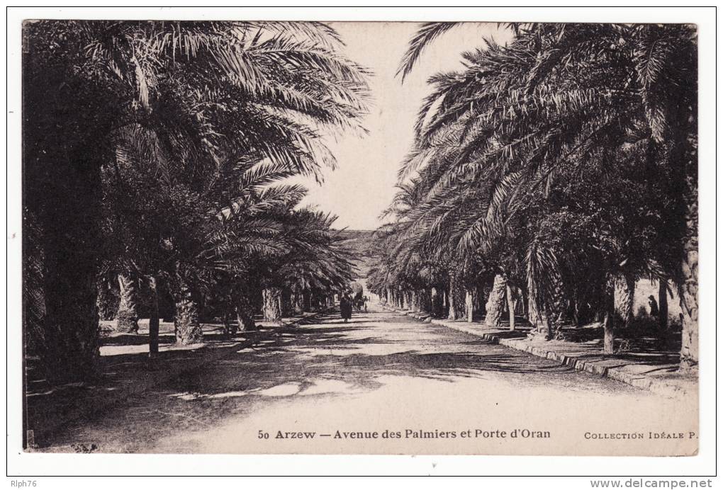 50 ARZEW - AVENUE DES PALMIERS ET PORTE D'ORAN - CPM NEUVE VOIR SCANS