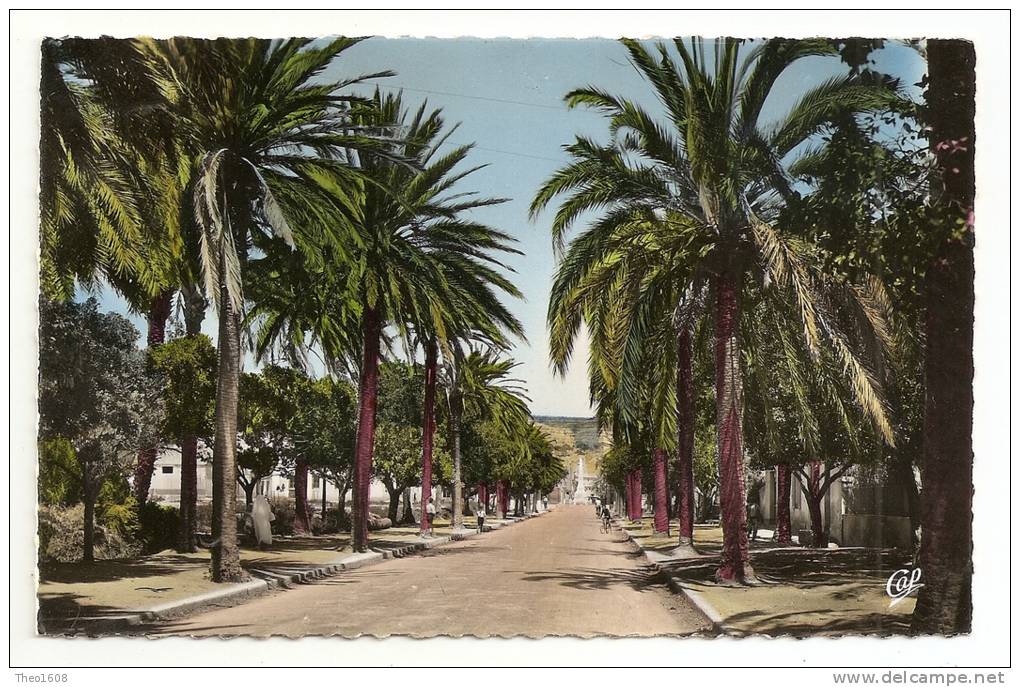 Algérie. Arzew. Entrée de la ville (772)