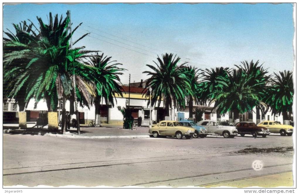 CPSM ARZEW (Algérie) - L´esplanade