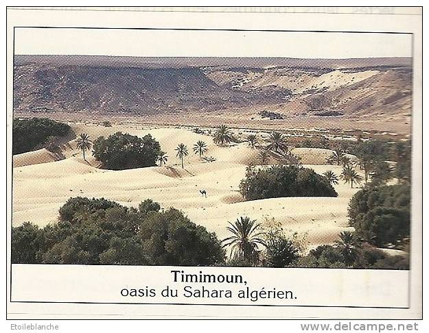 photo Afrique, Algérie, Timimoun, oasis sahara / barrage sur l'oued Tafna / Arzew torchères, moutons / images Panini
