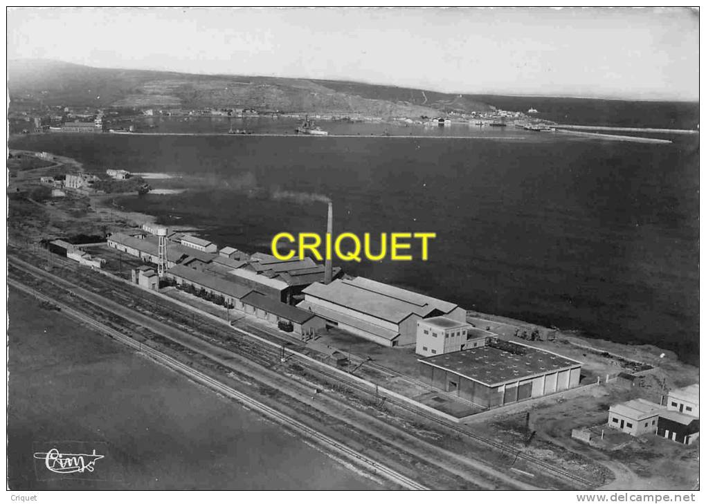 Algérie, cpsm Arzew, l'Usine à Soufre et la Rade , belle carte pas courante