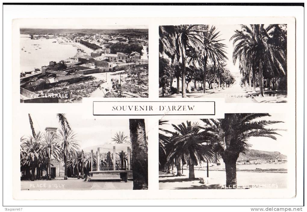 SOUVENIR D ARZEW MULTIVUES PLIURE MILIEU