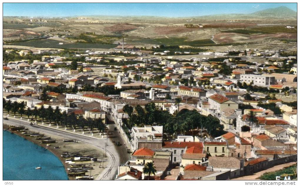 CPSM  -  ARZEW  ( ALGERIE)  Vue générale de la ville .  1961
