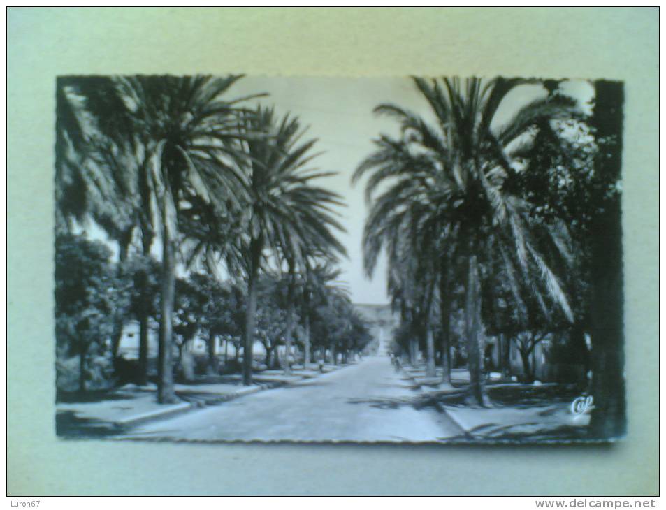 CPSM DE ARZEW  Entrée de la Ville