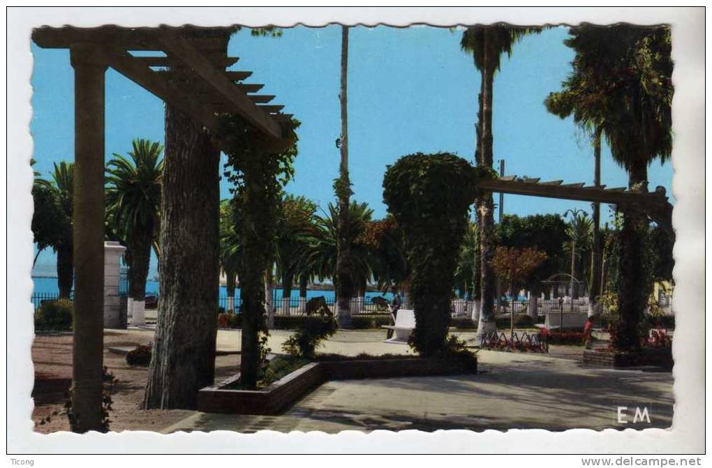 ARZEW ALGERIE - LE JARDIN PUBLIC ( EDITION COMBI ORAN ) EM
