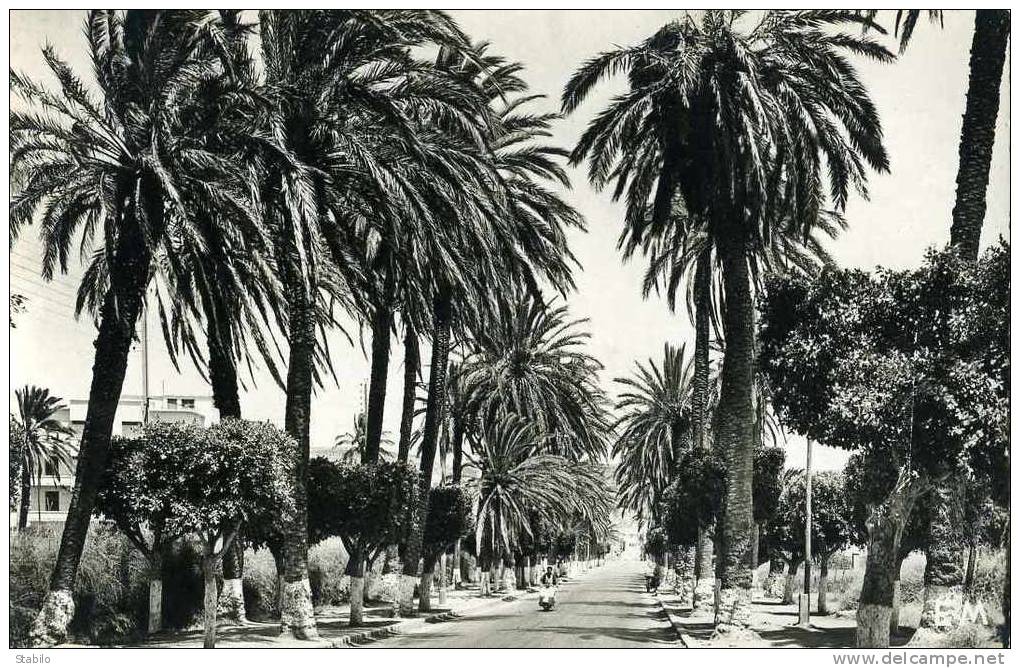 ALGERIE - ARZEW - ROUTE D´ORAN