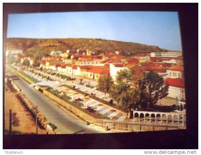 ALGERIE- CARTE POSTALE- ARZEW