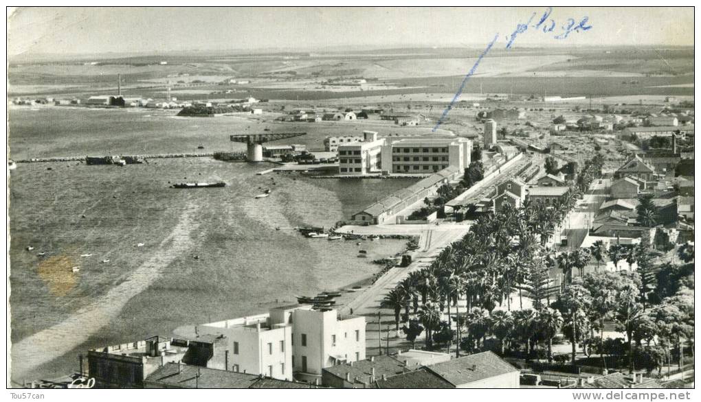 ARZEW - ALGERIE - PEU COURANTE CPSM.