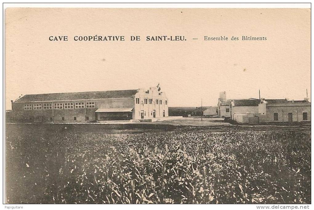 cpa tres propre , région d´oran , ancienne ville d´arzew , cave vinicole , coopérative de saint-leu , pas courante