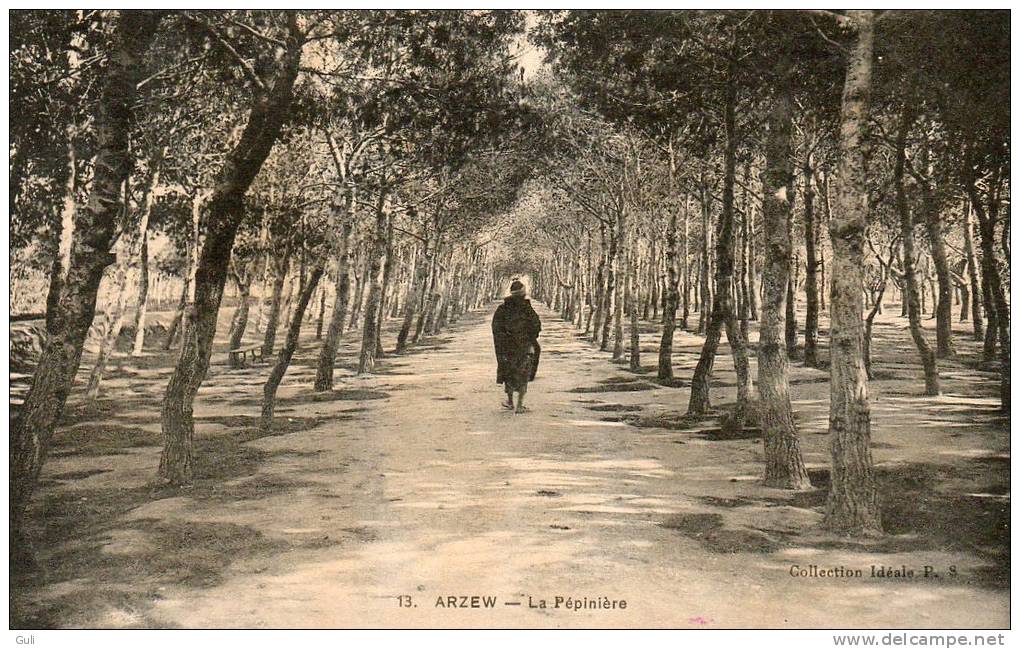 Algérie (Oran) ARZEW - La Pépinière ( animation, Collection Idéale P-S n°13)  *PRIX FIXE