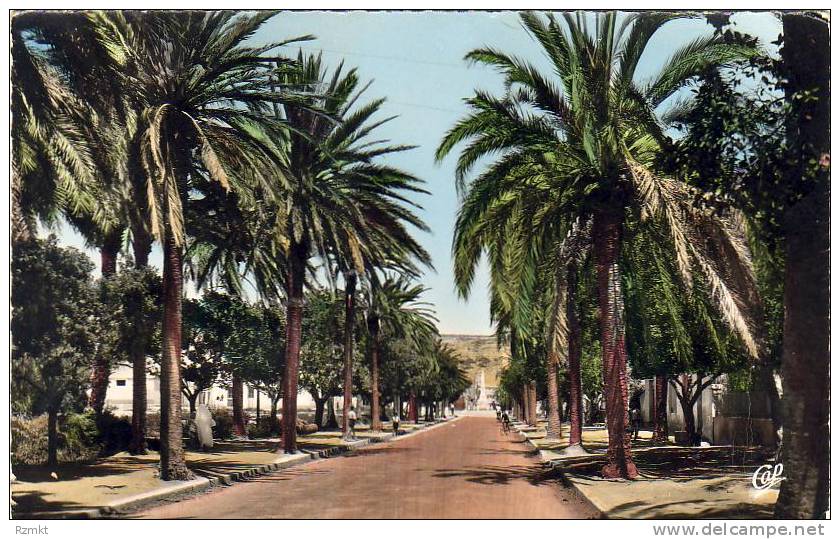 ALGERIE  ARZEW Entrée de la Ville