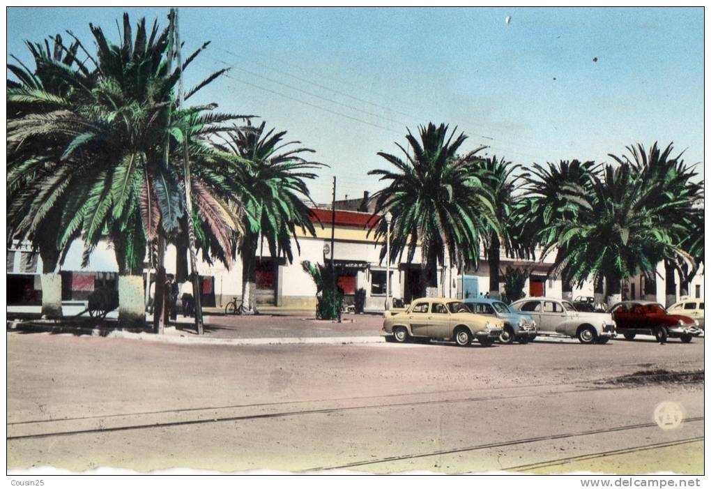 ALGERIE - ARZEW - L'Esplanade