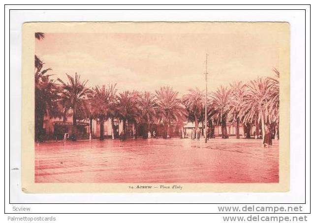 Arzew, Algeria, 1910s  Place d'Isly