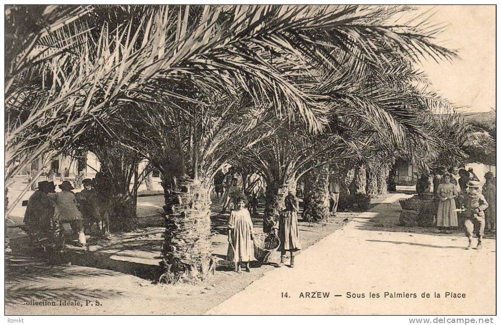 ALGERIE  ARZEW  Sous les Palmiers de la Place