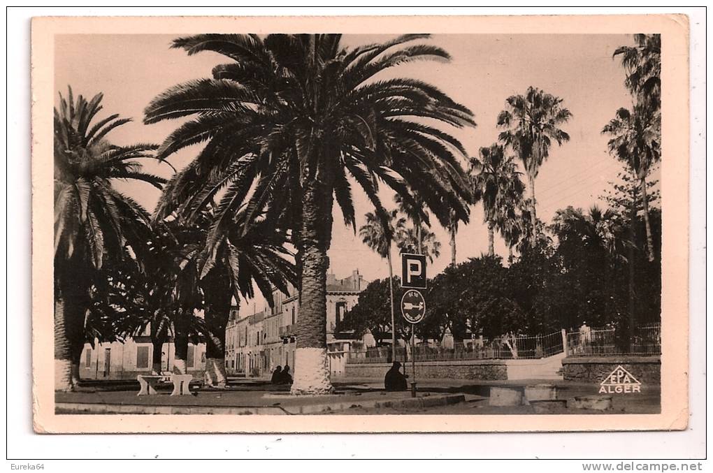 Algérie - ARZEW - Jardin Public - petite animation - format 9 x 14 cm -