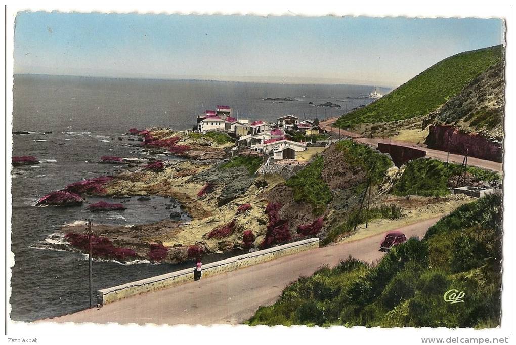 Lot de  4 cpsm       -   ARZEW  - BATNA  - BOU SAADA  -ALGER   -