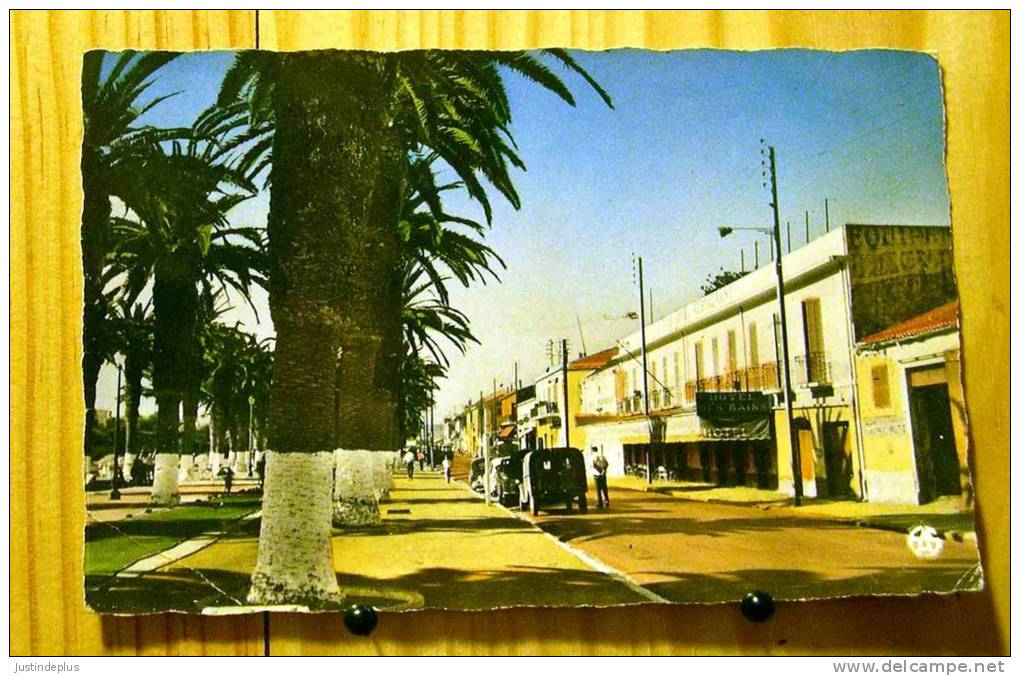 ALGERIE ARZEW L'ESPLANADE 2 CV CAMIONNETTE HOTEL DES BAINS