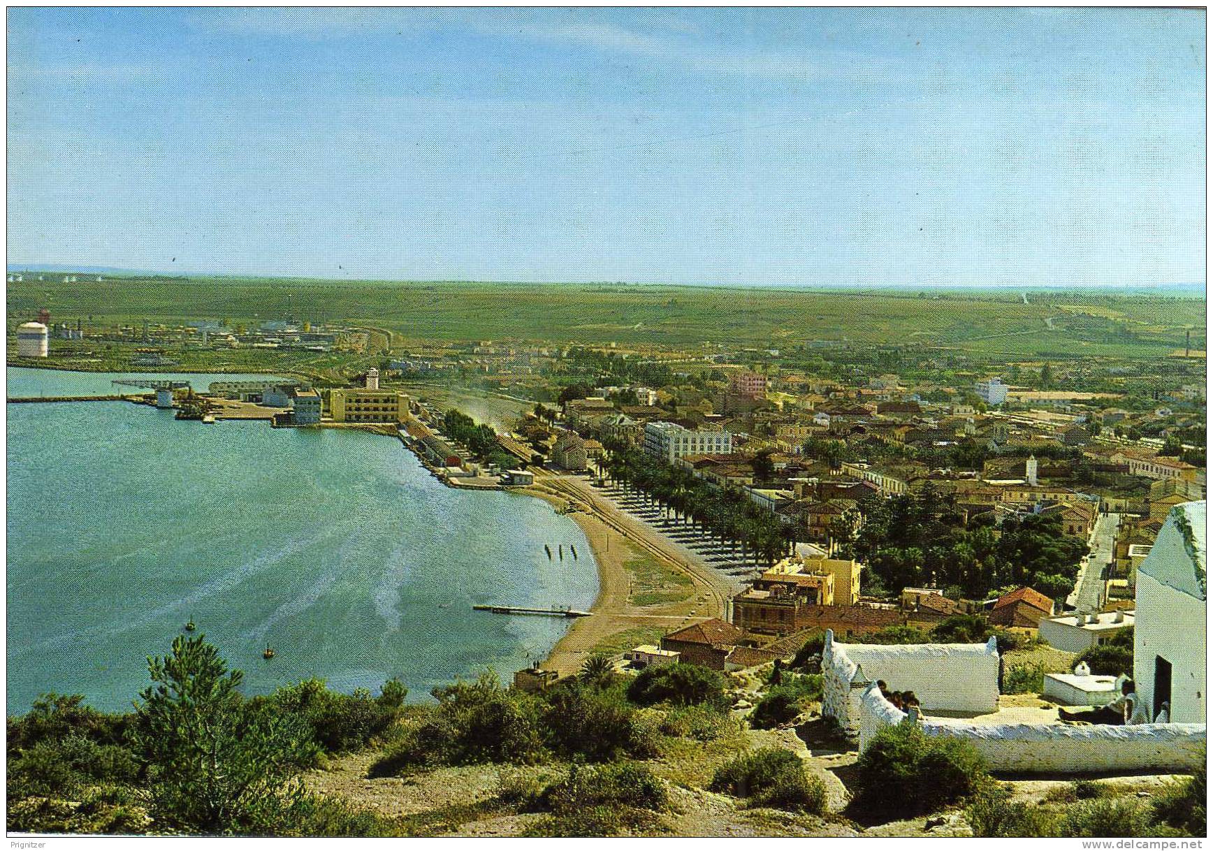 ALGERIE / ALGERIEN    ARZEW       Vue generale