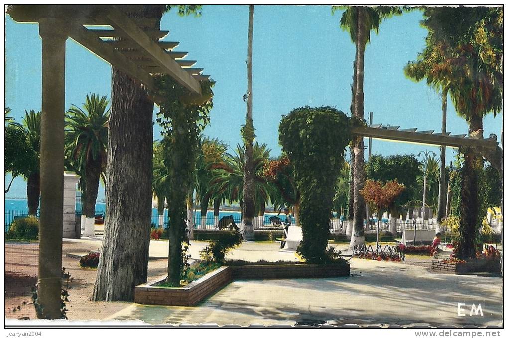 CPSM Arzew Arzeu Wilaya Oran Algérie Le Jardin Public Editions Combi