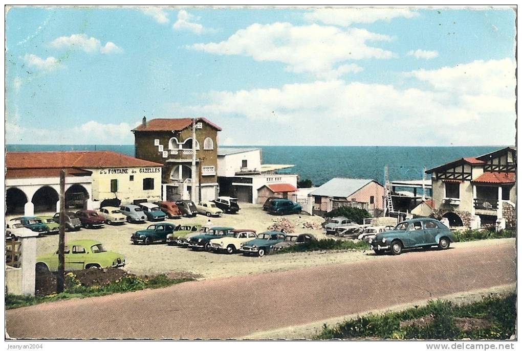 CPSM Arzew Arzeu Wilaya Oran Algérie La Corniche Fontaine des Gazelles Editions Jaseber