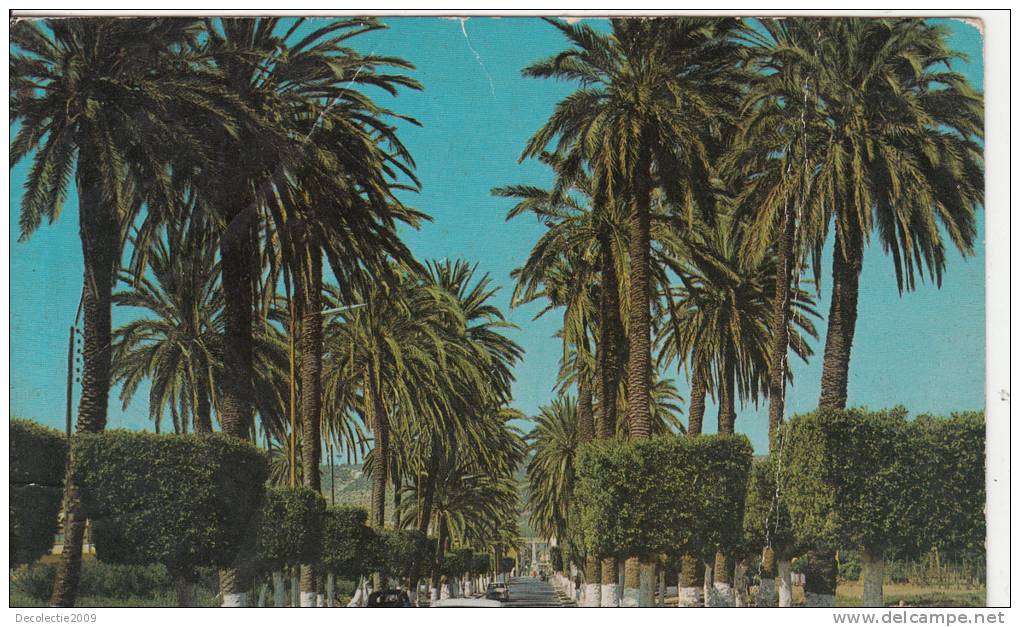 ZS6716 Arzew used perfect shape