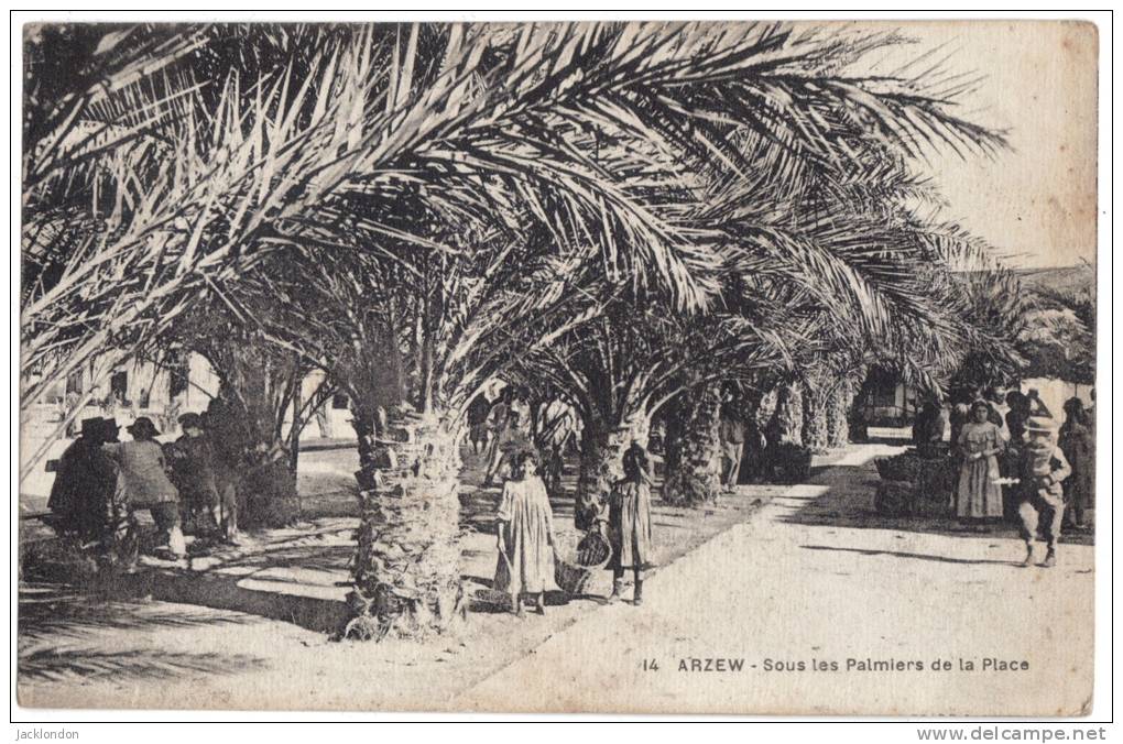 Algérie  Arzew sous les palmiers de la place