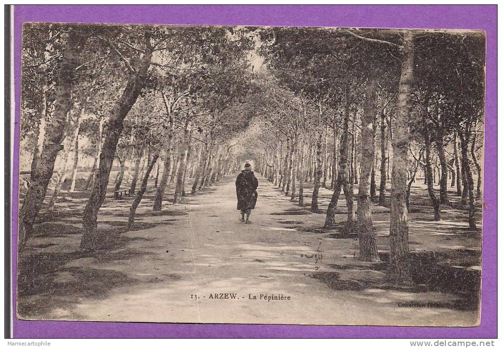 ALGERIE -ARZEW - Promeneur dans la Pépinière - oblitérée en 1923
