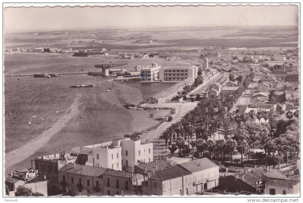 CSM  -  1526.   ARZEW   - Les Quais du Port, Vue générale