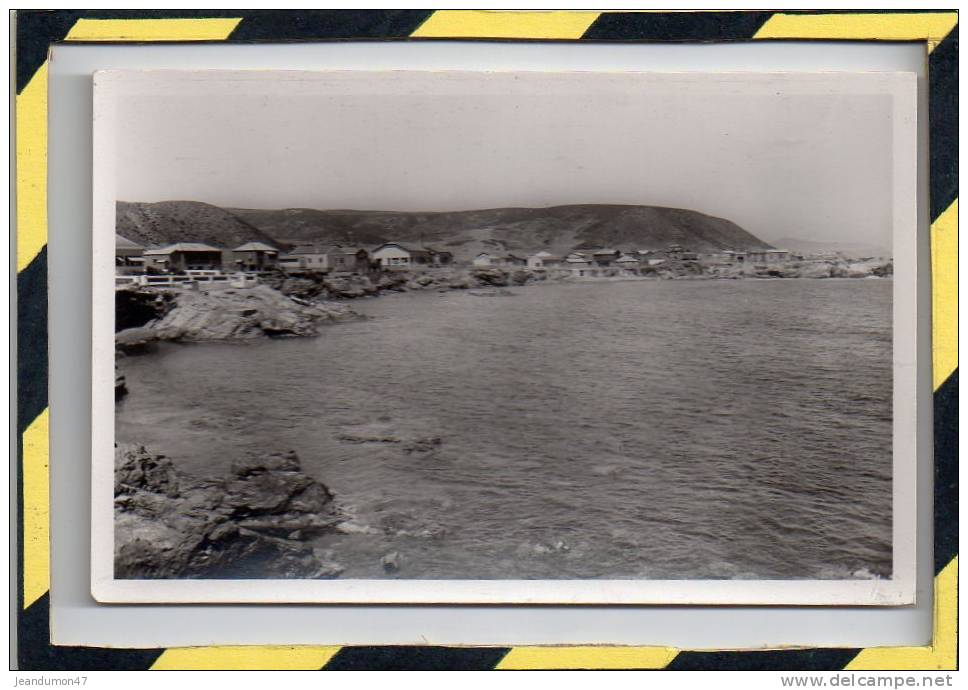 VERITABLE CARTE-PHOTO. - . ARZEW - LA CORNICHE ET LA FONTAINE DES GAZELLES . NON CIRCULEE - EXCELLENT ETAT