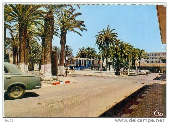 CP.  ARZEW.  PLACE  DU  1 er  NOVEMBRE  1954