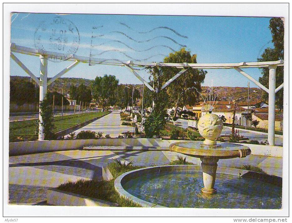 CPM   ARZEW  (algérie)  le jardin public, en 1982.        (2168)