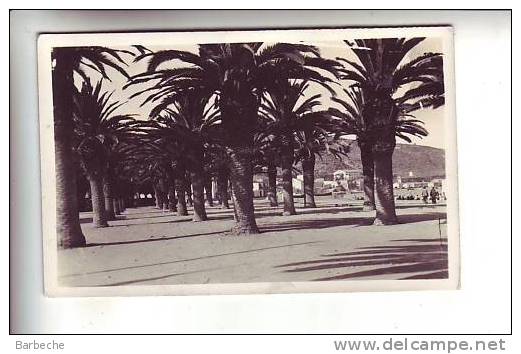 ARZEW .- Place des Palmiers