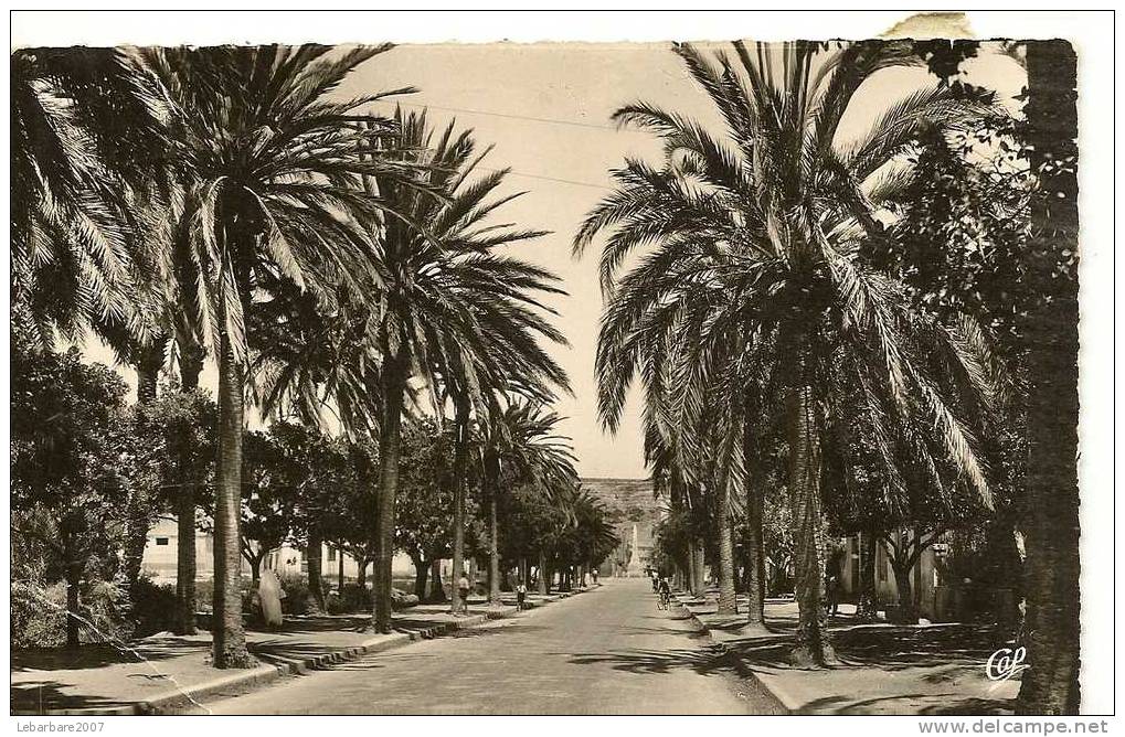 20 - ARZEW - ENTREE DE LA VILLE  (     ) ALGERIE