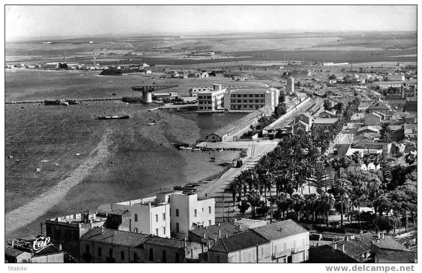ALGERIE - ARZEW - LES QUAIS DU PORT -