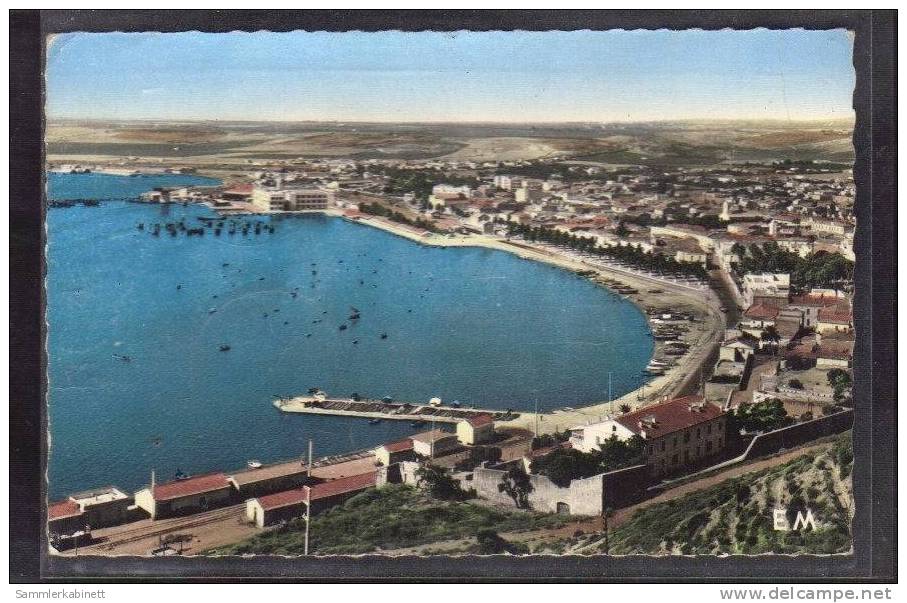 Arzew - Vue générale du Port  1959