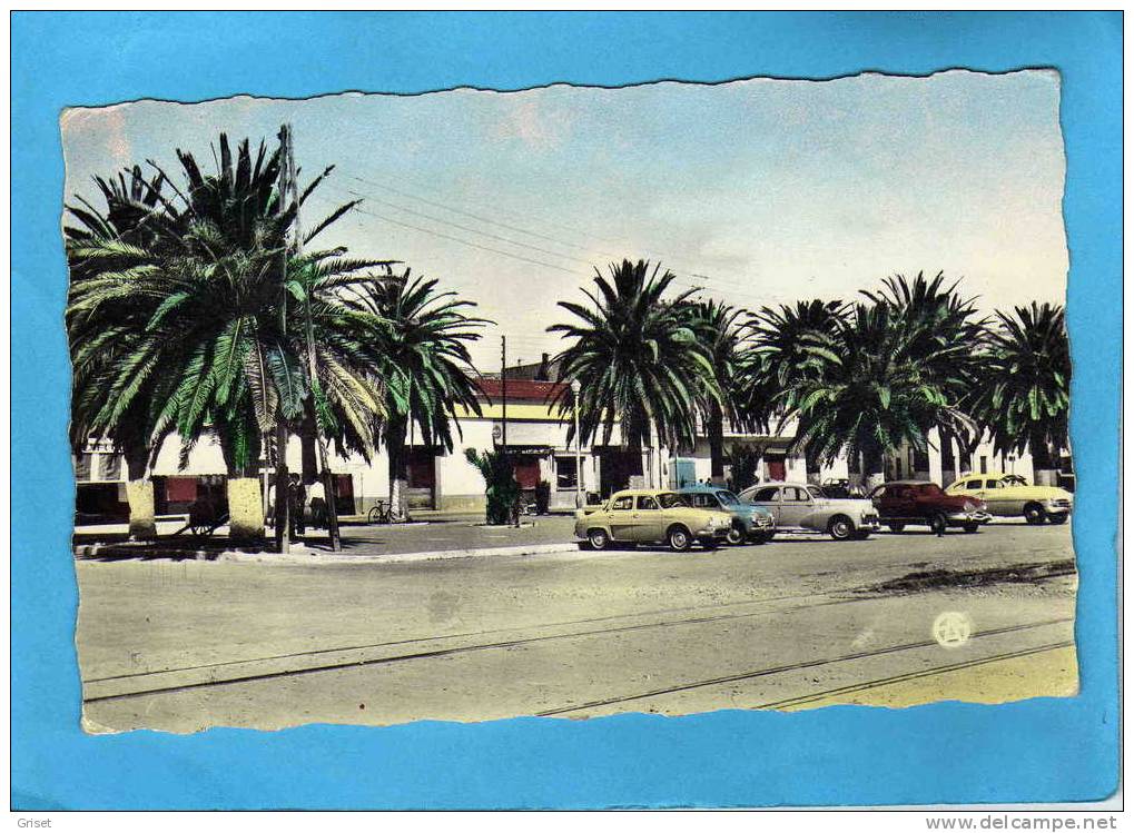 ARZEW-L´esplanade -+autos garées -dauphine renault  203 peugeot  etc beau plan années 50