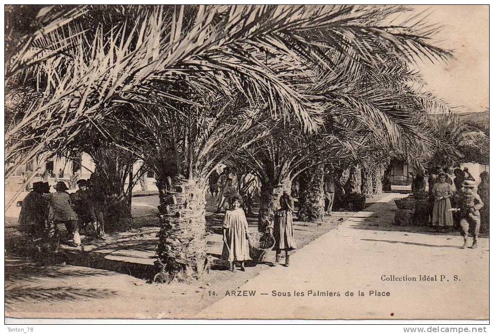 ARZEW  -  SOUS LES PALMIERS DE LA PLACE