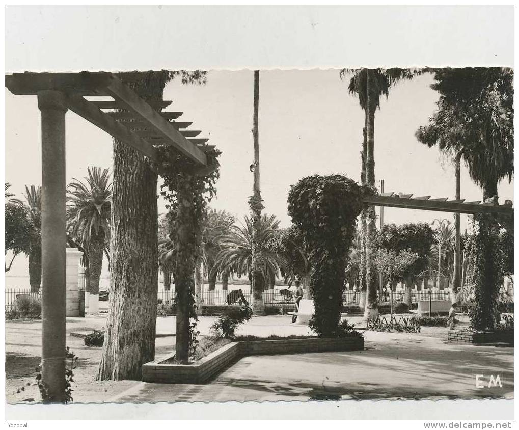 cp , ALGÉRIE , ARZEW , Le Jardin Public