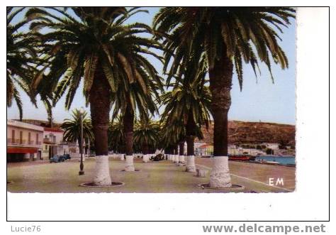 ARZEW  -   La Palmeraie du Port